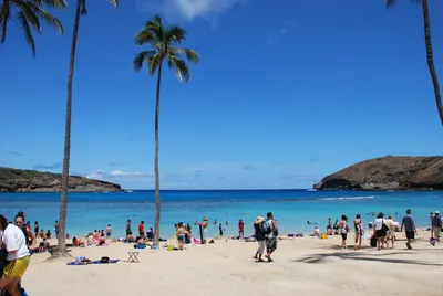 2007_05_31_HAWAII (83) (Large).JPG